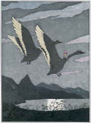 Чудесное путешествие Нильса с дикими гусями - Фото 1