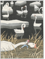 Чудесное путешествие Нильса с дикими гусями - Фото 4