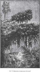 Веселые задачи - Фото 7