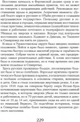 Туркестанская эпопея - Фото 5