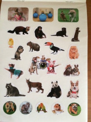 100 наклеек. Забавные животные - Фото 4