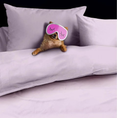 Комплект постельного белья «Розовый кварц» - Фото 13