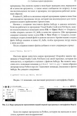 Python для начинающих. Учимся программировать с помощью мини-игр и загадок - Фото 4