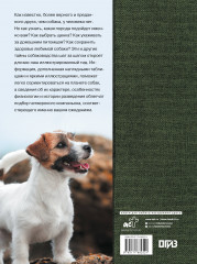 Собаки - Фото 2