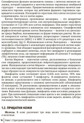 Физиология и патология кожи. Ксероз кожи - Фото 11