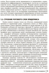 Физиология и патология кожи. Ксероз кожи - Фото 14