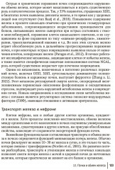 Клиническая феррология - Фото 10