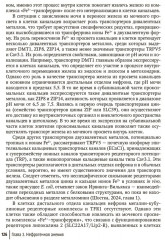 Клиническая феррология - Фото 13