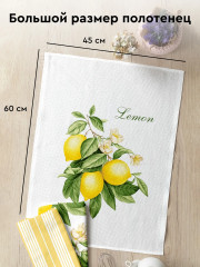 Комплект полотенец кухонных «Sicily» - Фото 2