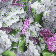 Комплект постельного белья «Цветок желаний» - Фото 3