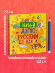Мой первый англо-русский словарик - Фото 7