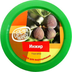 Набор для выращивания «Инжир» - Фото 1