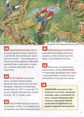 Атлас мира. 250 фактов. Энциклопедия российского школьника - Фото 10