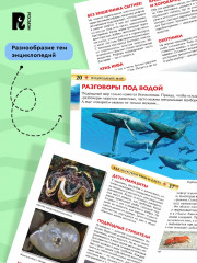 Подводный мир. Детская энциклопедия - Фото 7
