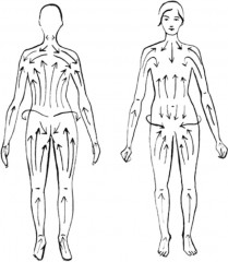 Массажер для тела антицеллюлитный - Фото 4