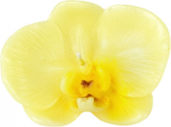 Набор свечей «Орхидеи» - Фото 2