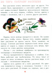 Настоящая ботаника для мальчиков и девочек - Фото 4