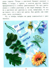 Настоящая ботаника для мальчиков и девочек - Фото 5