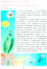 Настоящая ботаника для мальчиков и девочек - Фото 6