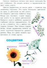 Настоящая ботаника для мальчиков и девочек - Фото 7
