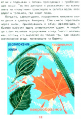 Настоящая ботаника для мальчиков и девочек - Фото 9