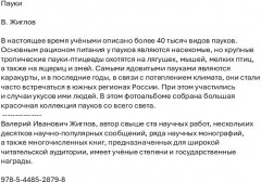 Пауки - Фото 1