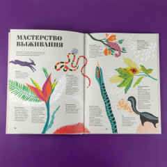 Чудесная книга смерти - Фото 7