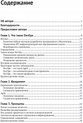 DevOps для ИТ-менеджеров - Фото 1