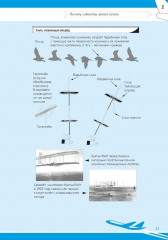 Почему самолеты летают - Фото 4