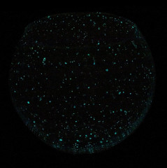 Ваза светящаяся в темноте - Фото 1