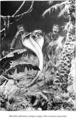 Маракотова бездна. Деяние Раффлза Хоу - Фото 2