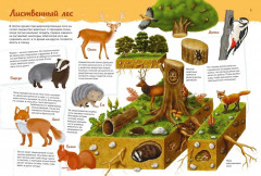 Животные. Мой первый атлас в картинках - Фото 2