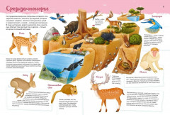 Животные. Мой первый атлас в картинках - Фото 3