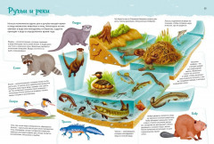 Животные. Мой первый атлас в картинках - Фото 4