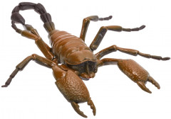 Набор фигурок из пластизоля «Насекомые» - Фото 6