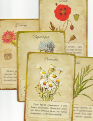 Хранительницы Сада. Цветочные истории для женского сердца. Психологическая игра - Фото 2