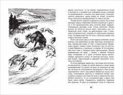 Белый клык - Фото 2