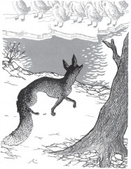 Чудесное путешествие Нильса с дикими гусями - Фото 2