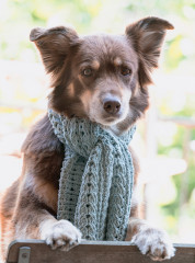 Объемные косы и жгуты. Вяжем крючком - Фото 7