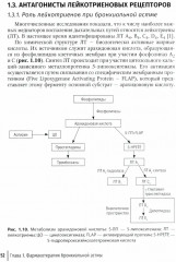 Рациональная терапия бронхиальной астмы - Фото 10
