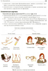 Акушерство - Фото 12