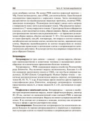 Медицинская микробиология, вирусология и иммунология. Том 2 - Фото 9