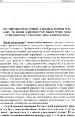 Приусадебное пчеловодство - Фото 2