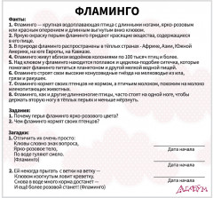 Набор из 20 карточек «Птицы» - Фото 3