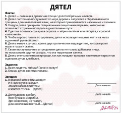 Набор из 20 карточек «Птицы» - Фото 4