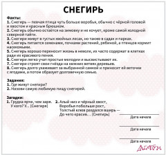 Набор из 20 карточек «Птицы» - Фото 5