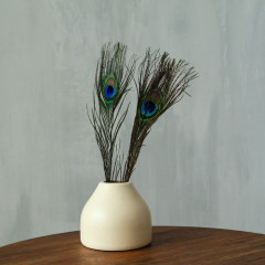 Набор перьев павлина для декора - Фото 2