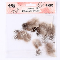 Набор перьев для декора - Фото 1