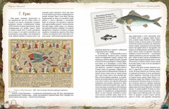 Записки об уженье рыбы - Фото 4