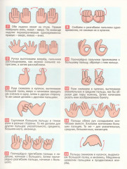 Цвет. Форма. Размер. Поиск закономерностей - Фото 2